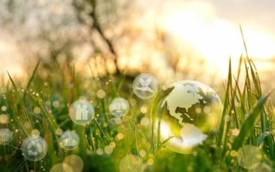 The Biosphere Restoration Plan: Humanity’s Greatest Asset and Biggest Business Opportunity