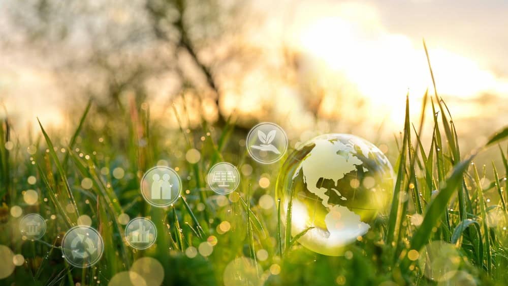 Sustainable development concept with Earth globe and eco icons in grass at sunrise.