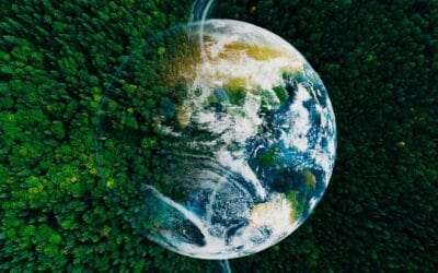 Biomass: How the World Worked and What’s Missing Now