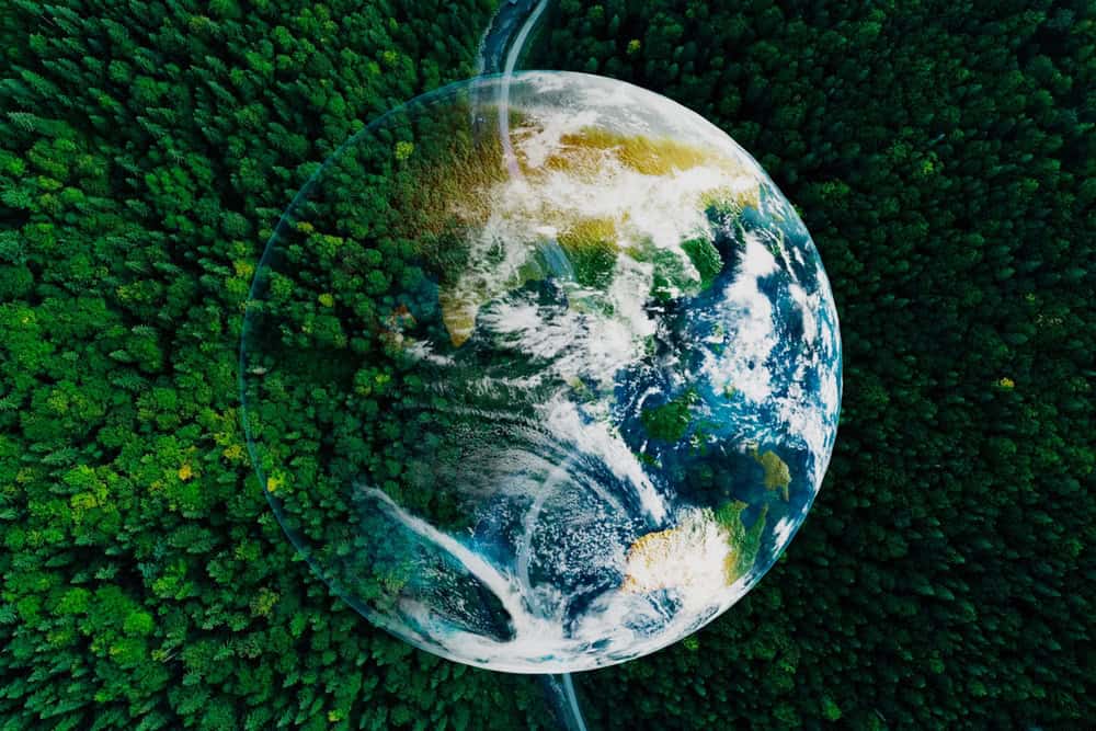 Earth encased in a transparent sphere over a lush green forest, symbolising sustainability and environmental protection.