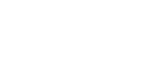 Envisionation
