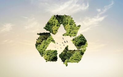 Nature’s Cooling System: Why Biomass Loss is Driving Climate Chaos