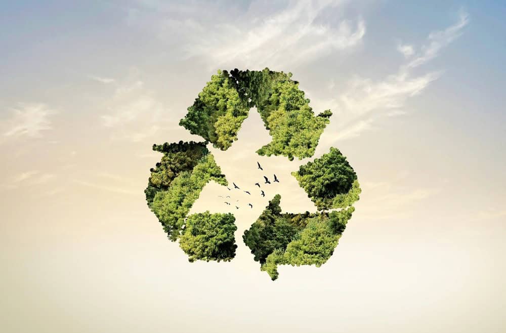 Recycling symbol made of lush green trees, promoting environmental sustainability and eco-friendly practices.