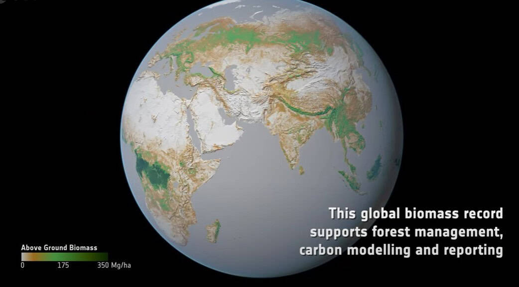 Global biomass data visualisation for forest management and carbon modelling.