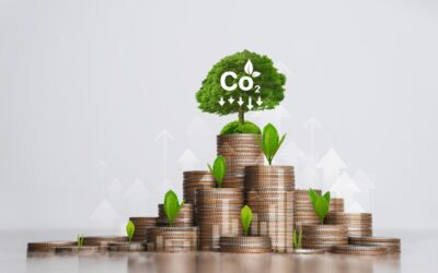 Earth’s Missing Lung: Why Carbon Credits Aren’t Enough