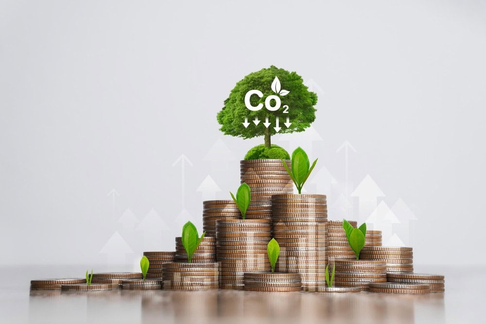 Stacks of coins with green leaves and a tree symbolising carbon offset and environmental sustainability in Envisionation.