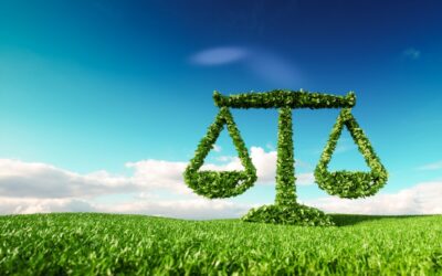 Making Ecocide History: Understanding the Campaign to Protect Our Planet