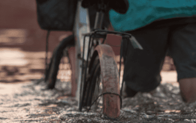 Why Won’t It Stop Raining? The UK’s Relentless Winter — And Why It Won’t Get Better Until We Fix the Living World