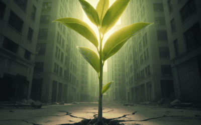 The Biosphere Restoration Plan: Climate Action That Pays